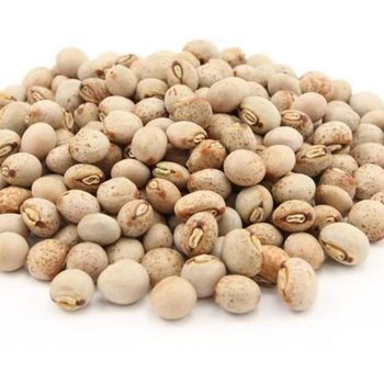 PIGEON PEAS Grade AA Type SEEDS Filth 0.1% Humidity 14% Odor No Odor Defect Rate 4-5% Packaging 50KG BAGS Moisture Content 14% - AGRO AFRIQUE COMPANY LIMITED - Tanzania