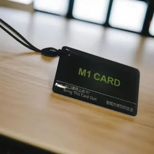 Waterproof Epoxy RFID Card, Custom-Printed for Hotel Room Doors - Hebei Zhonghu Intelligent Technology Co., Ltd - China
