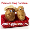 Product from POTATOES KING ROMANIA Product – product photo, Frozen Potato Slices products found from trusted suppliers, wholesalers, manufacturers & exporters Listing