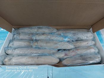 Frozen Squid - Loligo Reynaudii Processing Method Iqf/iwp Size Extra Large, Large ,Medium ,Small Season Availability 1 July – 19 October - HDCRS Commodities - Netherlands