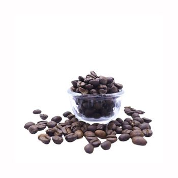 Premium Coffee Bean Roasted Robusta Coffee Beans - Starmark Company Limited - Tanzania