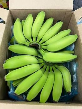 All types of organic bananas - Workplus International limited - Uganda
