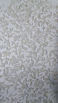 C9 SILKY LONG GRAIN WHITE RICE DOUBLE POLISH Color White Texture Silky Origin Pakistan Packaging 25 Kg In Pp Bags Minimum Order Quantity One Container 20 - EVER GREEN INTERNATIONAL - Pakistan