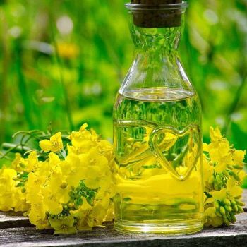 Natural Organic Fractionated Refined Canola Oil Bulk Export Wholesale Supplier for Grocery Stores Food Manufacturers - CPW TRADE LTD - United Kingdom