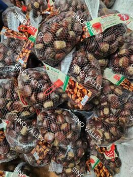 Fresh Chinese Chestnuts Qianxi Qinglong Dandong Origin Large Sweet Raw In-Shell Chestnut for Bulk Wholesale Export - SinoValley Agro Group Co., Ltd. - China