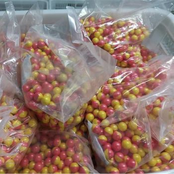 Temperature Resistant Paintballs (-30° C to 60° C) Desert & Snow Games Available - Hualiu Industrial Co., Ltd. - China