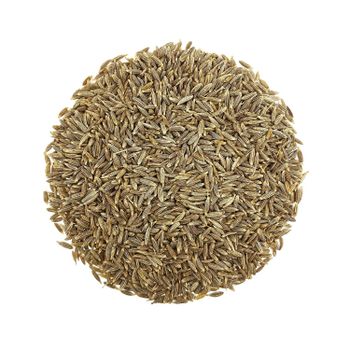 Cumin Seed from manidhari gums and chemicals Cumin Seed - manidhari gums and chemicals - India