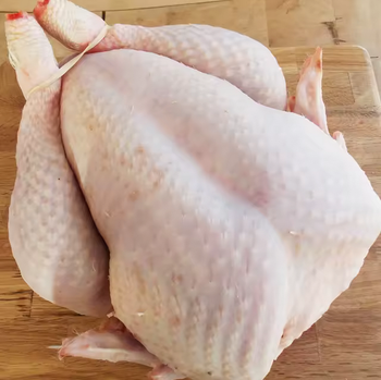 Frozen Whole Brazilian Chicken 100% Halal Certified Grade A Export Quality Griller 800g to 1400g Bulk 10kg Carton - KAFAIN CONSULTANCY LTD - United Kingdom