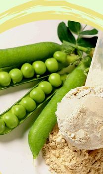 Pea protein isolate - Seth Rogers - Indonesia