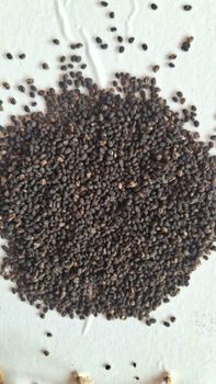 Babchi seeds (Psoralea corylifolia) Delivery Quantity 40 Tons Origin Psoralea Corylifolia Price Per Ton Usd 2000 / Tons Global Standards Compliance Yes - Elite Crop Connect - India