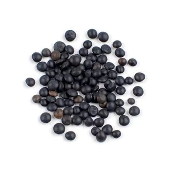 Bulk Black Lentils Packed With Nutritional Benefits Black Lentils Available For Export And Wholesale Orders - THE GREEN INTERNATIONAL LIMITED - Tanzania