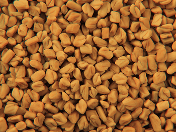 Fenugreek Seeds – India Origin | 99.5% Purity | Non-GMO Hs Code 09109912 Form Whole Seeds Moisture Max 10% Admixture Max - Sinhal Herbs  - India