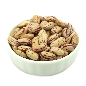 Clean Pinto Beans Premium Natural Dried Beans For Cooking And Food Industry Buy Fast Delivery Premium Quality Wholesale Naturally Perfect For Daily Use And Bulk Supply - wood traders - Poland