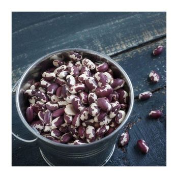 Dried sugar beans available for bulk export to food industry - MASI TRADING GMBH - Germany
