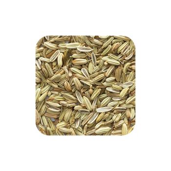 Wholesale fennel seed available in bulk for export markets - Mundus Exports Pty Ltd - South Africa