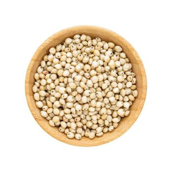 Wholesale sorghum grains bulk stock available with quality certification from HIGHPROFILE AGRICULTURE SERVICES LIMITED Wholesale sorghum grains bulk stock available with quality certification - HIGHPROFILE AGRICULTURE SERVICES LIMITED - Tanzania