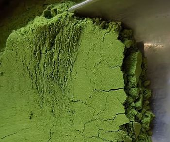 Moringa Leaf Powder - Cikal Artaniaga Globalindo - Indonesia