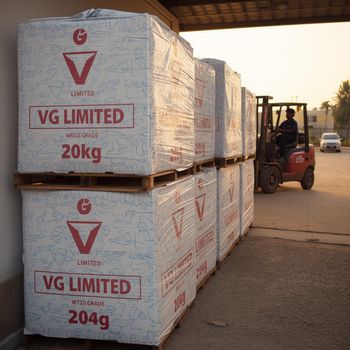 HOT OFFER 2025/2026: Premium Tanzania Raw Cashew Nuts (RCN) – Grades WW180, WW240, WW320 – Direct Export by VG Limited - VG Limited - Tanzania