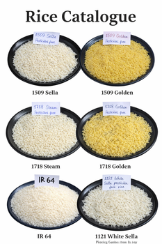 1121/1718/1509 -Steam/sella/white/Golden Origin India Packaging 50 kg PP Bag Product Type Cereals & Cereal Products - Vistaar Global Export - India