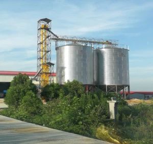 Large Corn Hopper Bottom Silo Grain Silos 10000 Ton Feed Mill Silos - Raisetech Co., Ltd. - China