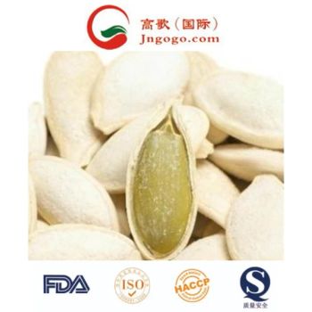 Exporting White Pumpkin Seed Kernels - Year-Round Supply Origin China Trademark gogo Processing Raw New Crop in Sep. HS Code - Jinan Gogo International Trade Co., Ltd. - China