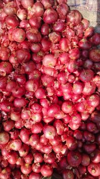 Onions - moh capital overseas - India