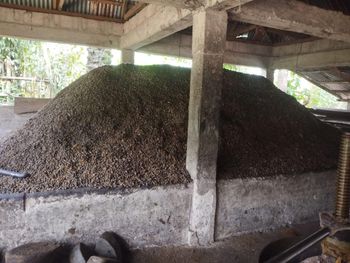 Palm kernel shells, - BoldGrey food limited - Nigeria
