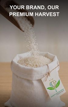 Chinigura Aromatic Rice - DIAMOND AGRI INDUSTRIES - Bangladesh