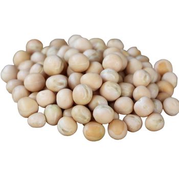 White Peas With Excellent Grain Selection For Bulk Export Packing And Professional Agricultural Market Supply - TOSOH INTERNATIONAL - South Africa