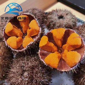Hot selling price high quality frozen seafood Fresh sea urchin and fish roe - Beihai Liangjun Trading Co., Ltd. - China