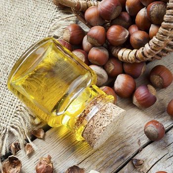 Factory Direct Hazelnut Oil Wholesale Price Cold Pressed Natural Carrier Oil for Skin Care Hair Care and Cooking - agroturaspzoo - Poland