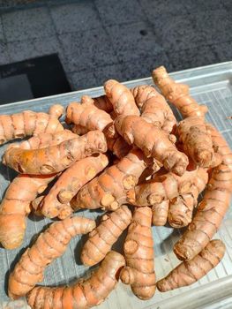 Fresh Ginger , finger turmeric , cinnamon etc Grade A Size 100-150-200gr up Packaging Carton box , waring pack (or - PT BUMI LANGGENG NAWASENA - Indonesia