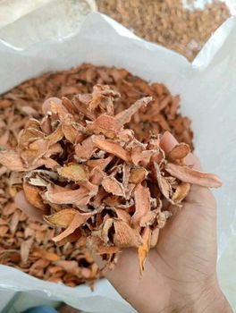 Turmeric Dried Sliced - PT. Adhya Dwi Jaya - Indonesia