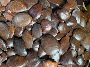 African Oil Beans  Packaging 50 kg Bag Place of Origin Nigeria Brand Name African Oil - Sealord Energy Services Ltd  - Nigeria