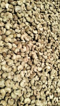 Raw Cashew Nut  – product photo, Cashew Nut Kernel products found from trusted suppliers, wholesalers, manufacturers & exporters Listing