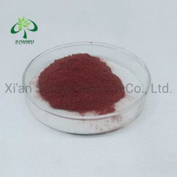 Sonwu Supply Elderberry Extract Anthocyanidins Sambucus Nigra L. - Xi'an Sonwu Biotech Co., Ltd. - China