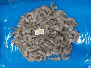 Vannamei HLSO Frozen Shrimps (31/40) Type HLSO Size 31/40 Color White Texture Fresh Form Block Frozen Place of Origin India - Aarna Enterprise - India