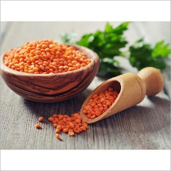 Whole Red Lentils - Green Leaf Global Export - India