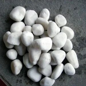 Garden/Home Decorative Snow White Pebble Stone Flooring Marble Chips Wholesale - Xiamen Shun Shun Stone Import & Export Co., Ltd. - China