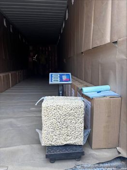 Top-Tier Tanzania Raw Cashew Nuts (RCN) - 2025/2026 Crop - Direct from VG Limited - VG Limited - Tanzania