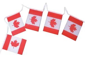 Cheap Coated Paper Streamer Strings Bunting Flags (B-NF11F06036) - Xiamen Novelty Flag Co., Ltd. - China