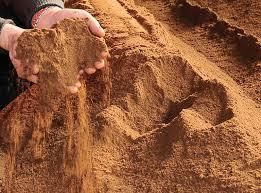 PALM KERNEL EXPELLER Form Whole Organic Yes Degree of Processing Natural - LEBBAY&BROS - Hong Kong