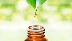 essential oil - PT Berawal Dari Mimpi - Indonesia