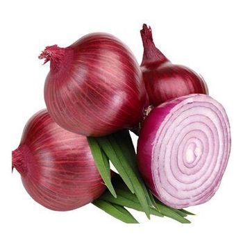 Egyptian Red onion from Green Delta Export Egyptian Red onion – product photo, Dried Red Onion products found from trusted suppliers, wholesalers, manufacturers & exporters Listing