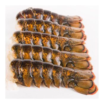 Factory price Canadian whole raw lobster UHP offered for wholesale sourcing programs from BMU TRADING GMBH Factory price Canadian whole raw lobster UHP offered for wholesale sourcing programs - BMU TRADING GMBH - Germany