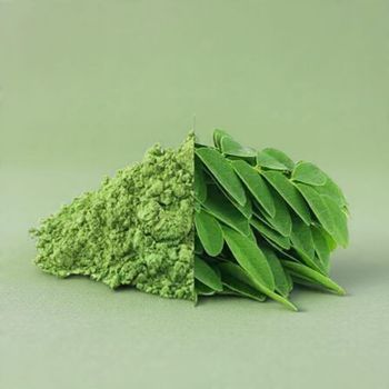 Moringa Powder - GLOBETRADE CORP - India