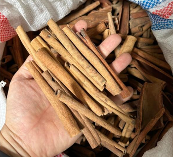 Raw Cinnamon - I Made Rai Trading - Indonesia