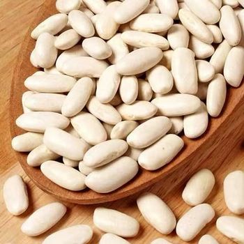 Beans White Factory Sale Various Natural Health Sugar Beans Dry Bulk White Kidney Beans from DAEWKAEW PANTAMANG Co., Ltd Beans White Factory Sale Various Natural Health Sugar Beans Dry Bulk White Kidney Beans - DAEWKAEW PANTAMANG Co., Ltd - Thailand