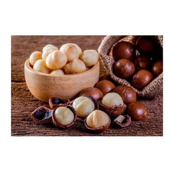 Factory Price Raw Macadamia Nuts Wholesale Roasted Macadamia Nuts -  CALIPSO POLSKA SP Z OO  - Poland