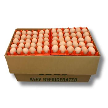 fresh eggs free range and organic eggs - Ori Whole Sale And Retail B.V - Netherlands